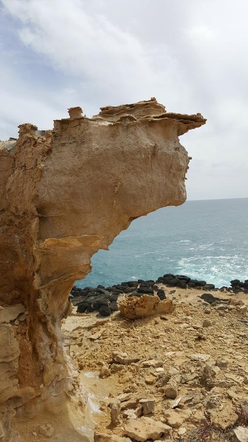 شقة Georgia بورتلاند المظهر الخارجي الصورة